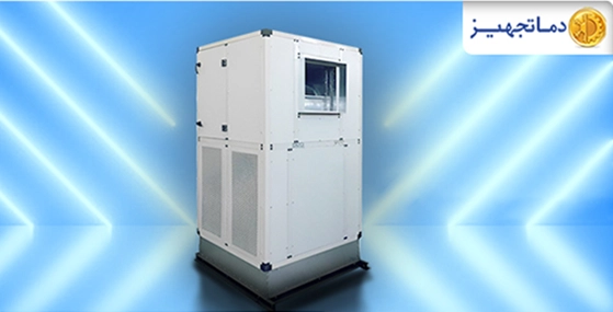 ما هو زنت وما هي استخداماته