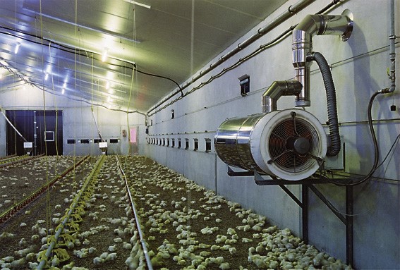 Poultry-jet-heater.jpg
