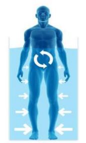 تاثیر تردمیل آبی آتیه پرداز