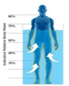 تاثیر تردمیل آبی آتیه پرداز