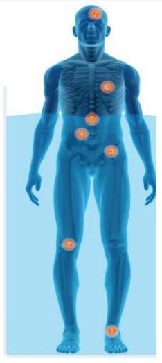 تاثیر تردمیل آبی آتیه پرداز
