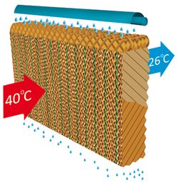 وسادة السليلوز