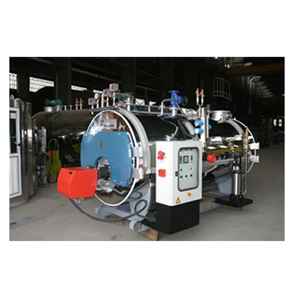 دیگ بخار پاکمن سری PSBH-1