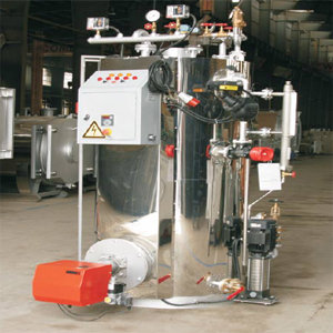 دیگ بخار ایستاده سونای پاکمن-1