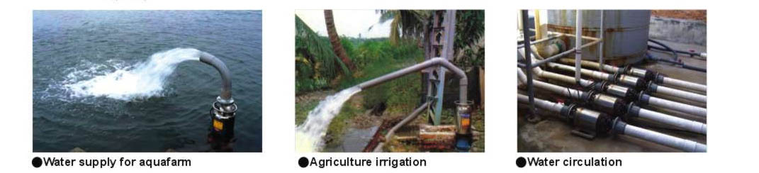 پمپ های آبرسانی کشاورزی و پرورش ماهیHCP-سری IC-3
