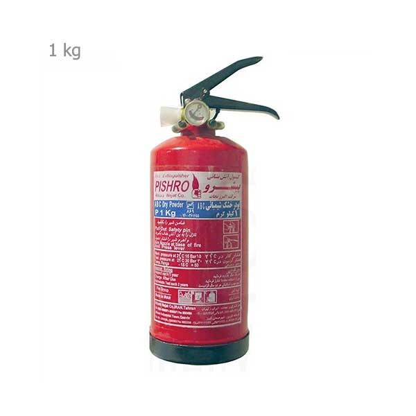 کپسول پودر و گاز 1 کیلویی خودرویی پیشرو-2