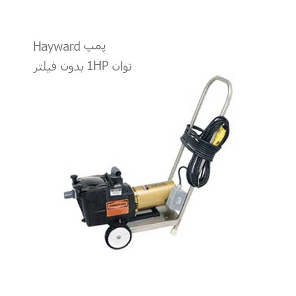 جاروی استخر دستی دماتجهیز مدل Dp03-1