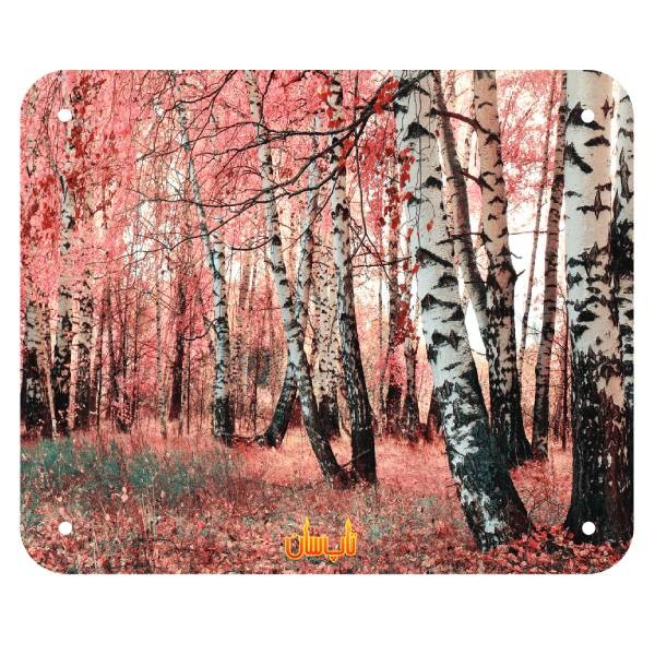 رادیاتور برقی شیشه ای تاپ سان مدل D-906 سایز 90×110-2