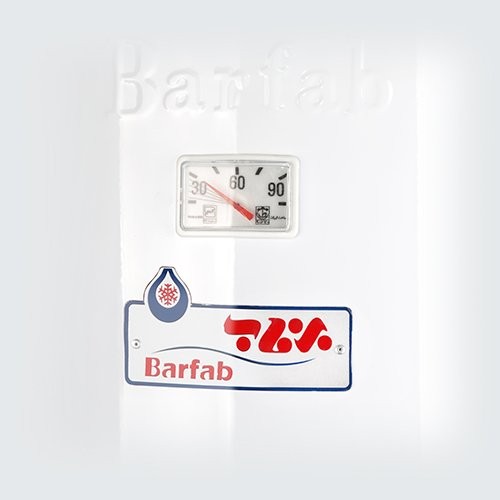 آبگرمکن گازی ایستاده برفاب مدل 60-10-2