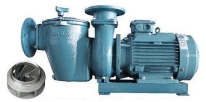 جت پمپ جکوزی ایمکس مدل SE-10