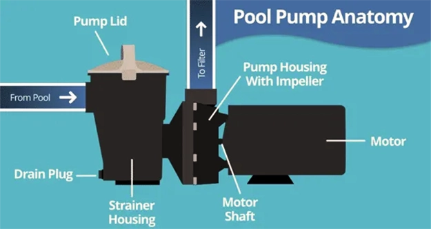 pool pump anatomy